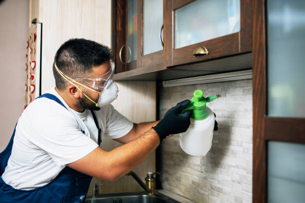 Best Emergency Pest Control  in Powdersville, SC