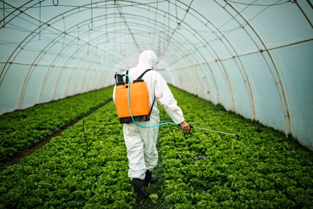 Pest Control Cost in Powdersville, SC