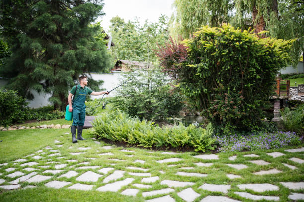Best Pest Removal Services  in Powdersville, SC