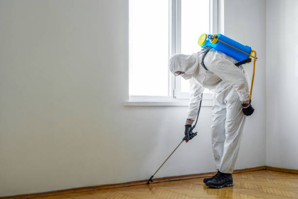 Best Mosquito Control Services  in Powdersville, SC
