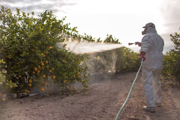 Best Residential Pest Control  in Powdersville, SC
