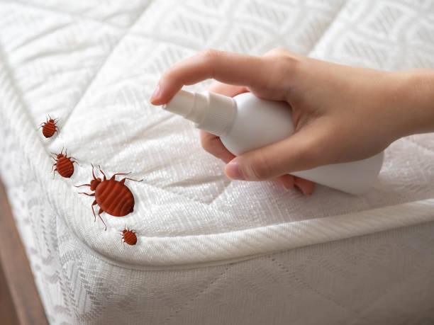 Best Pest Control Near Me  in Powdersville, SC